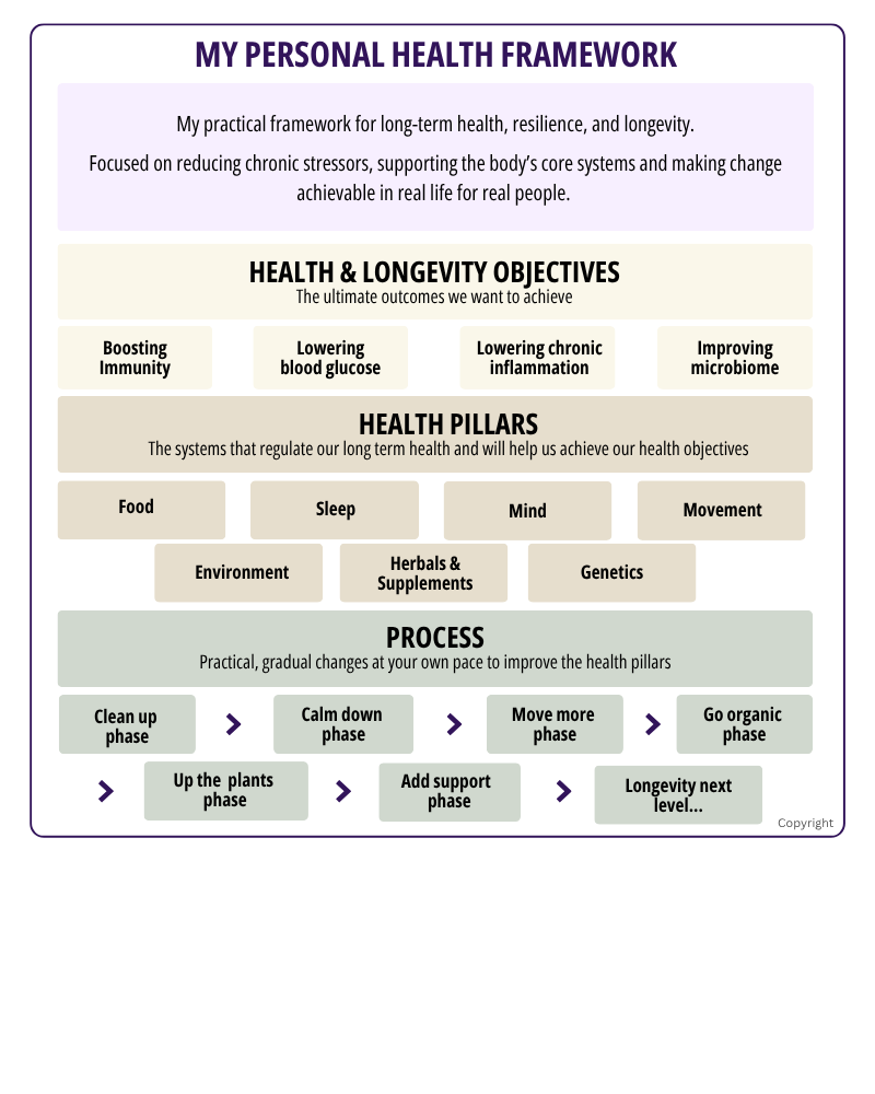 Integrative Health Framework - my personal path to health, prevention and hopefully longevity